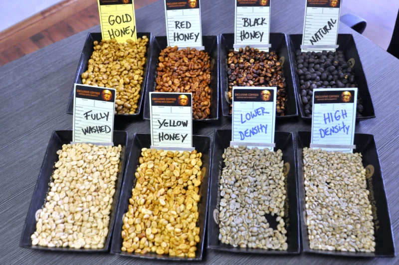 Welcome to Our Store