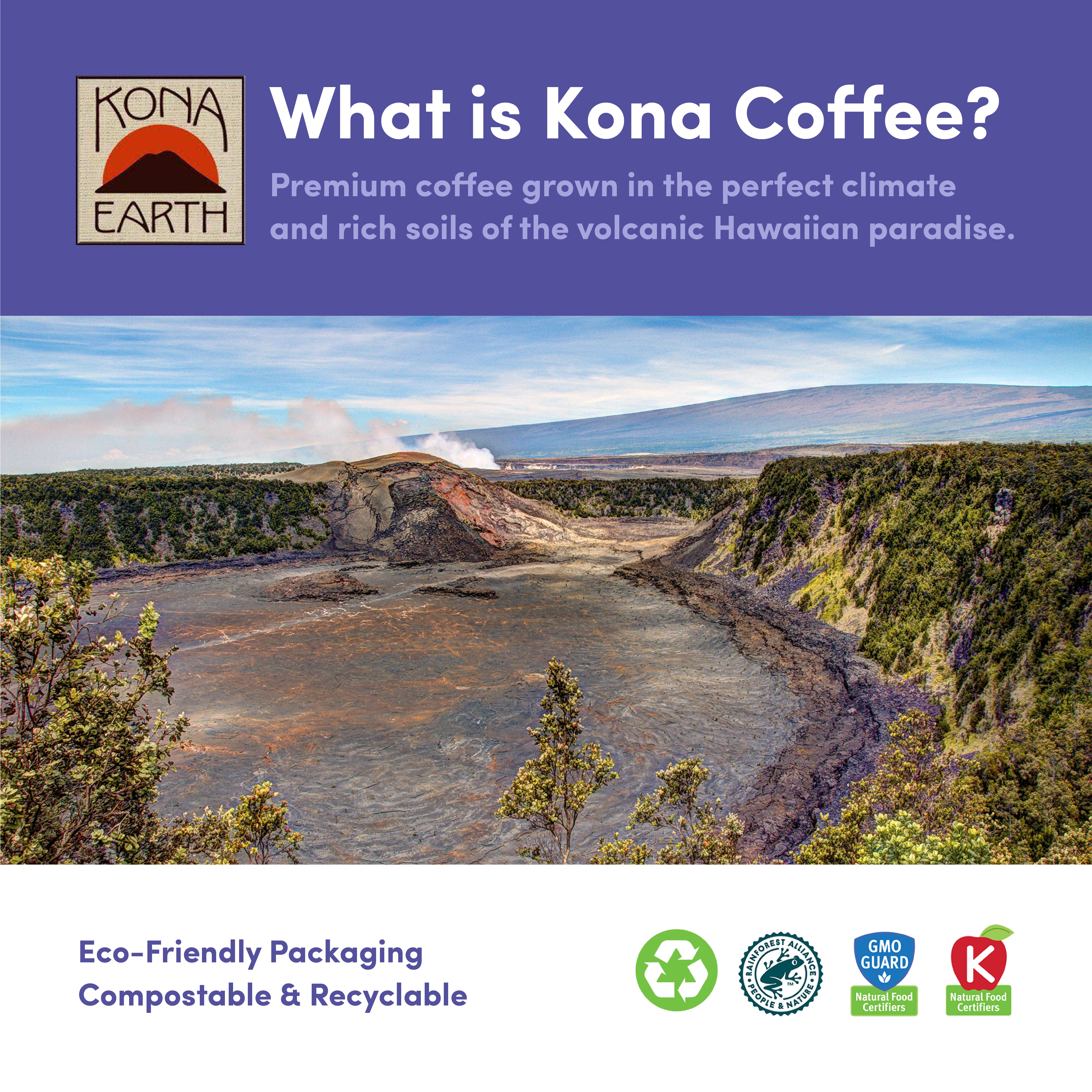 Hawaii Kona Extra Fancy - Image 4