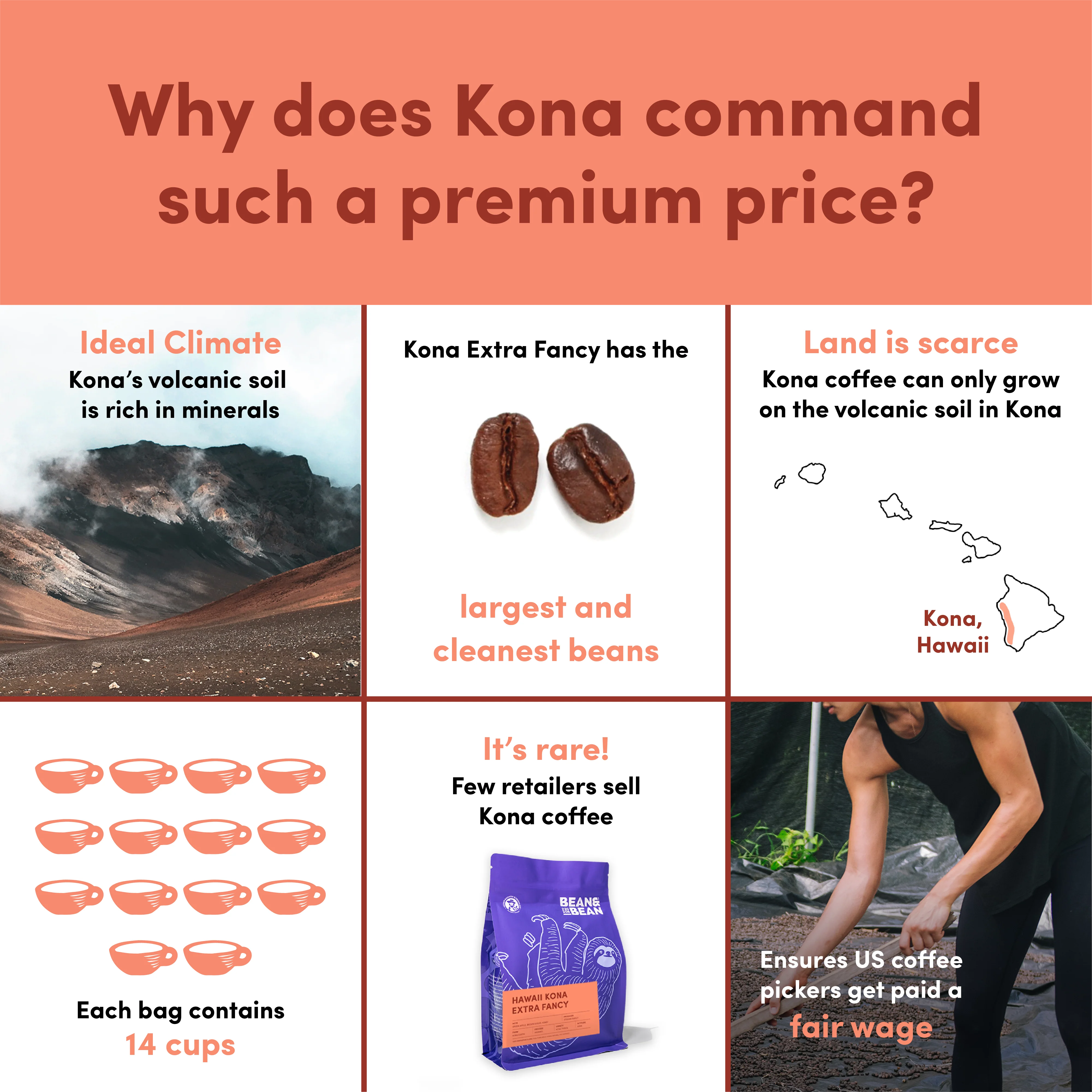 Hawaii Kona Extra Fancy - Image 5