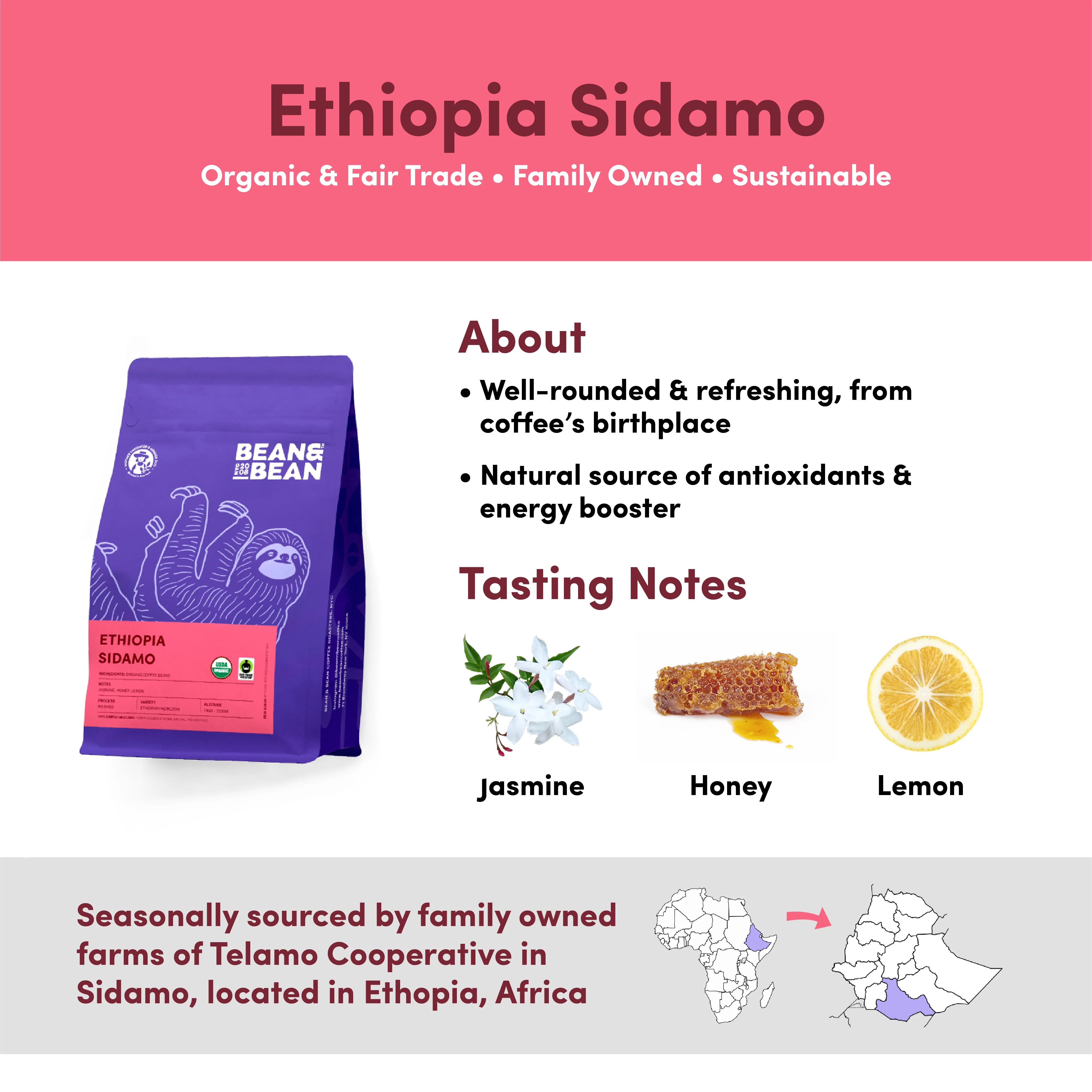 Ethiopia Sidamo, Organic & Fair Trade - Image 3