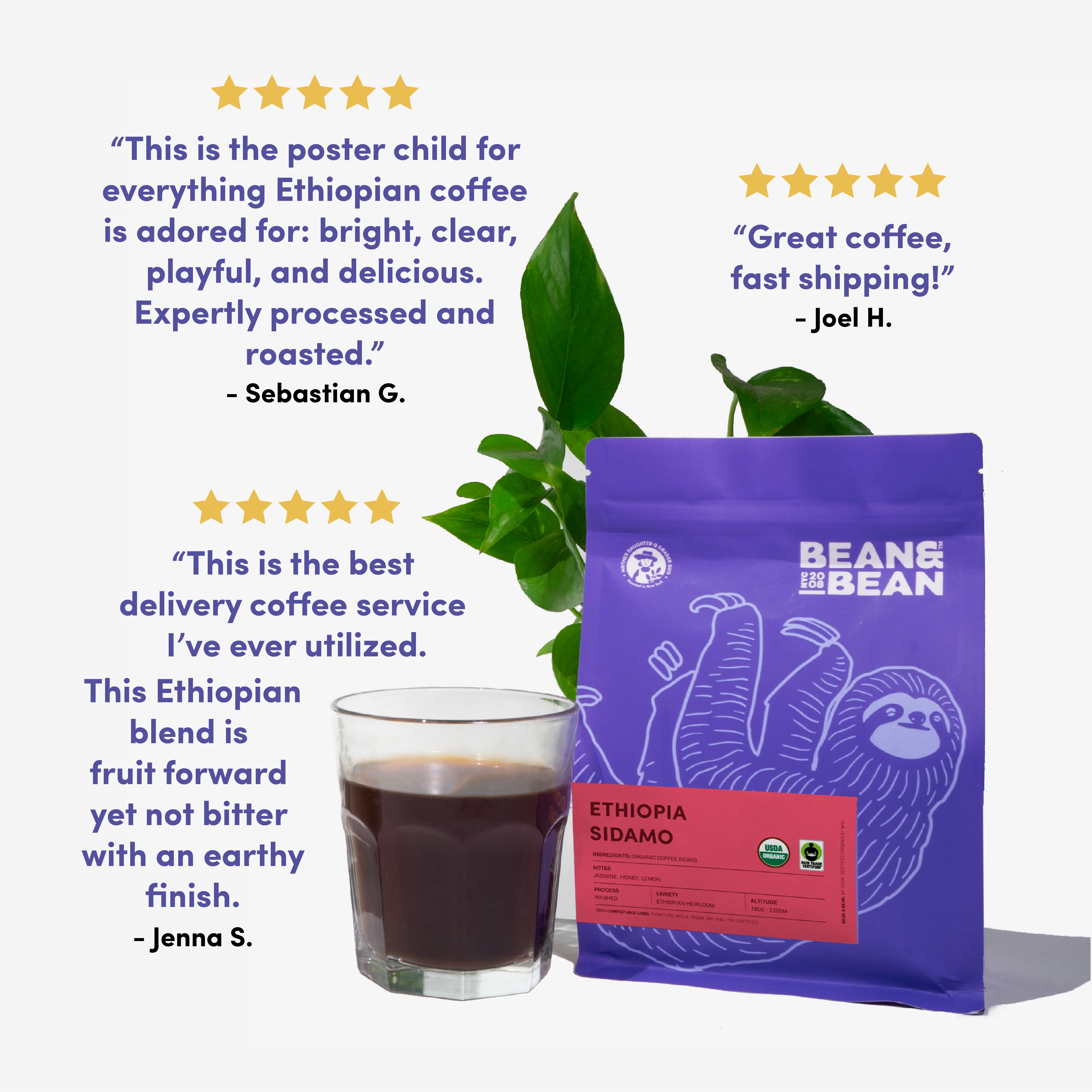 Ethiopia Sidamo, Organic & Fair Trade - Image 5
