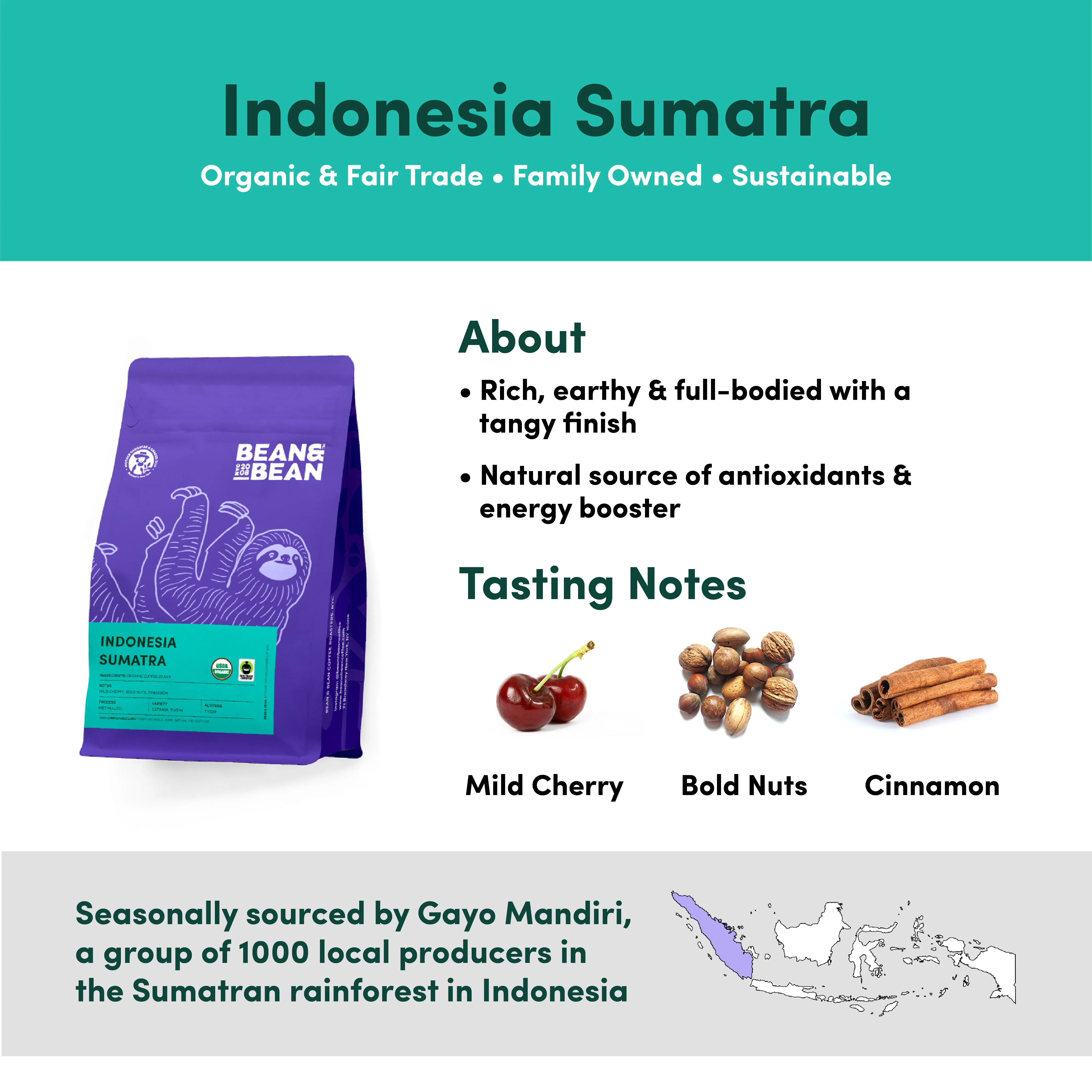 Indonesia Sumatra, Organic & Fair Trade - Image 3