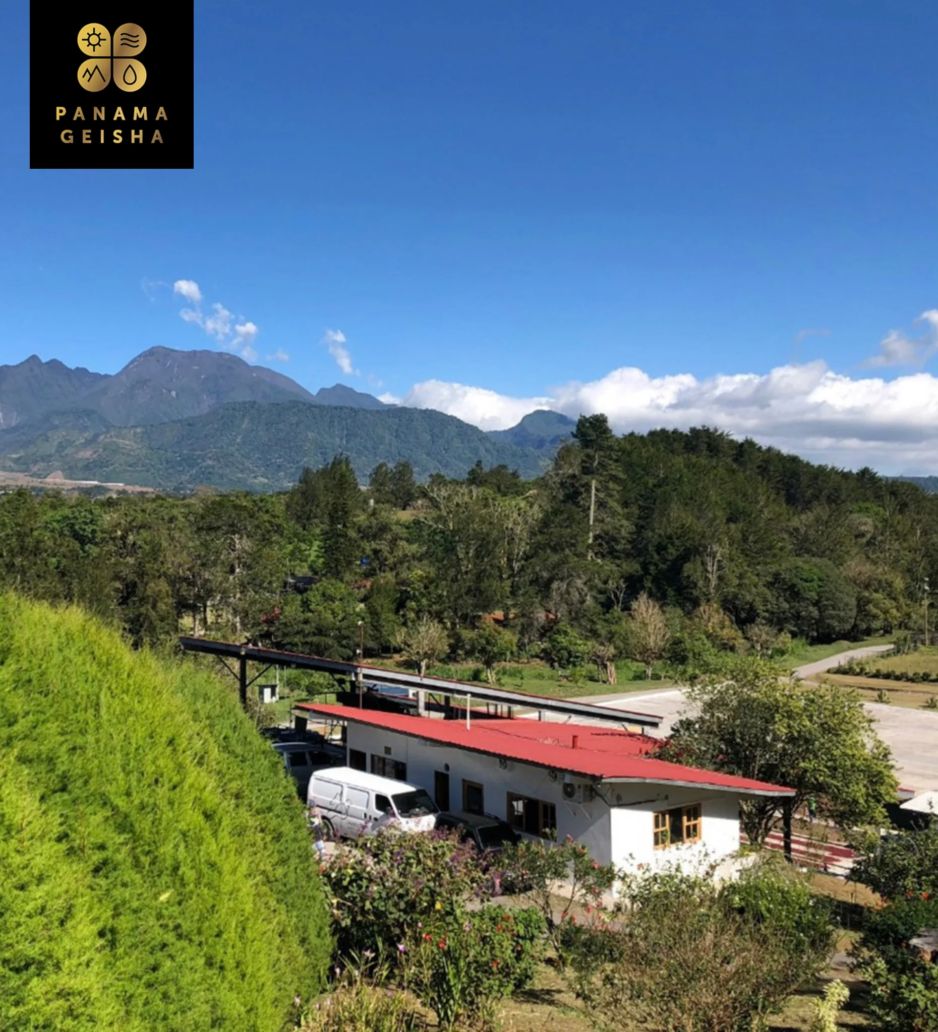 Panama Janson Gesha Washed 922 - Image 3