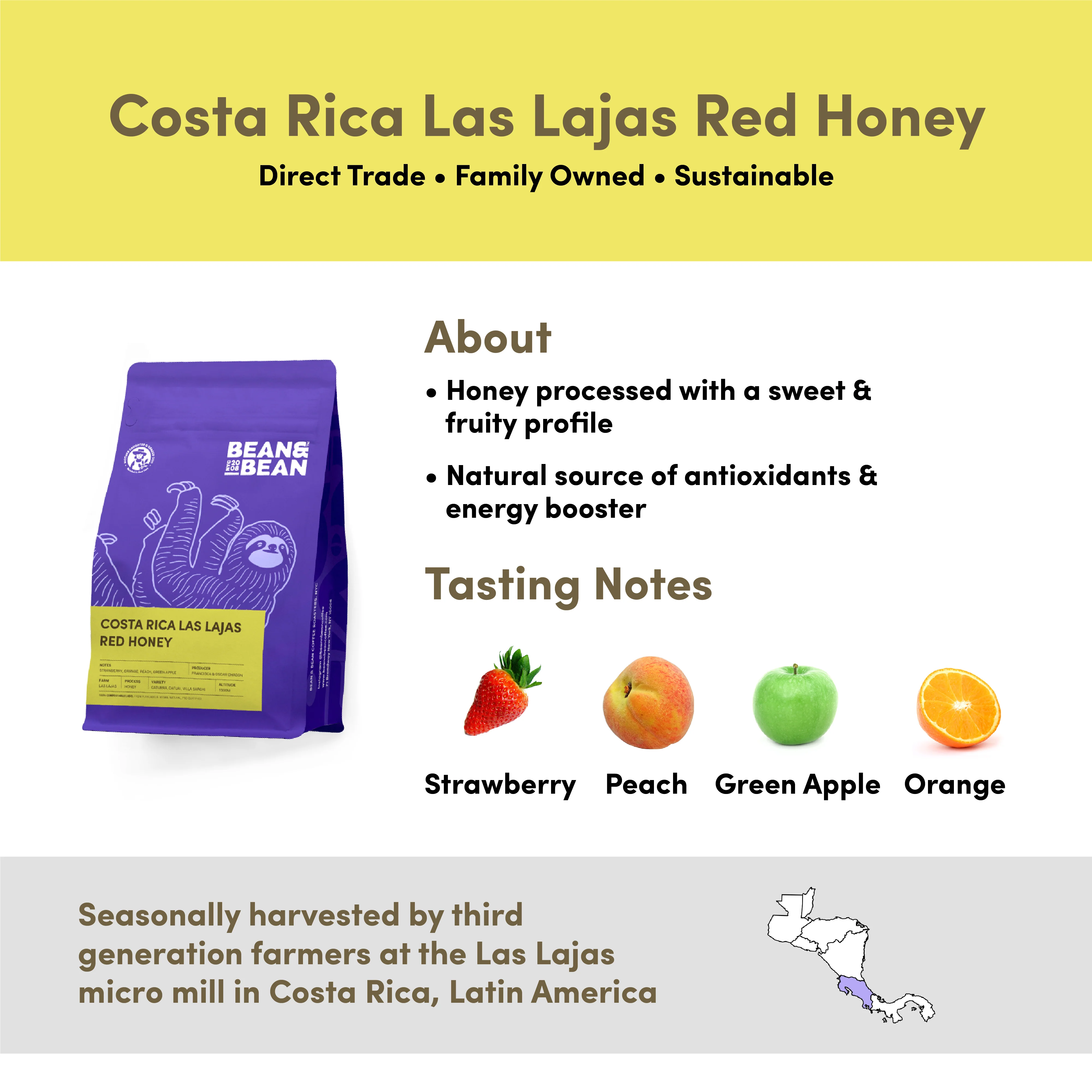 Costa Rica Las Lajas Red Honey - Image 3